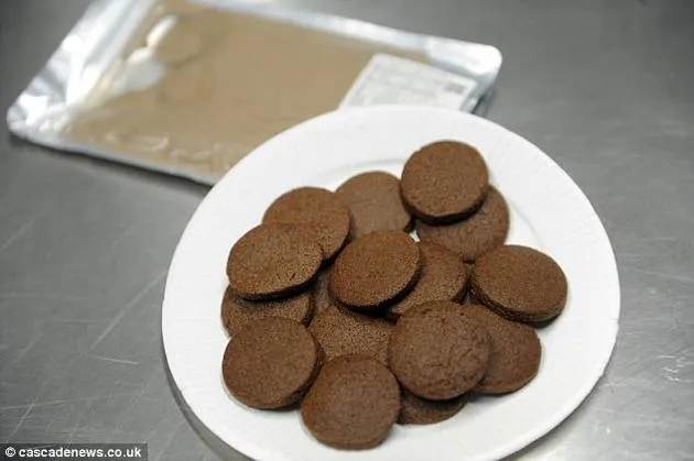 英国研究生尝试用蟋蟀做饼干 口感与普通饼干无异