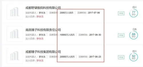 成都市政府6亿元救了锤子