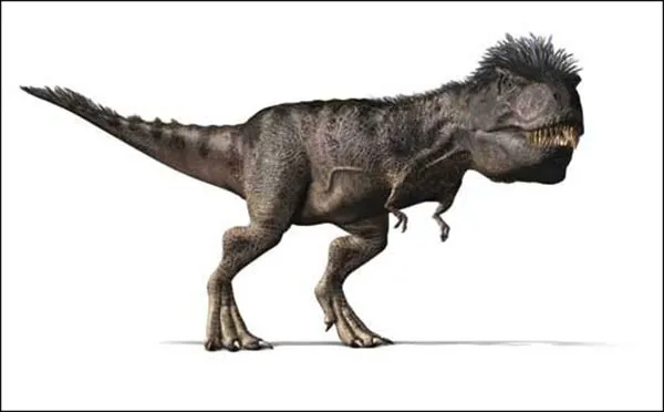 多亏世上的皮肤化石，霸王龙是否“毛茸茸”有了定论