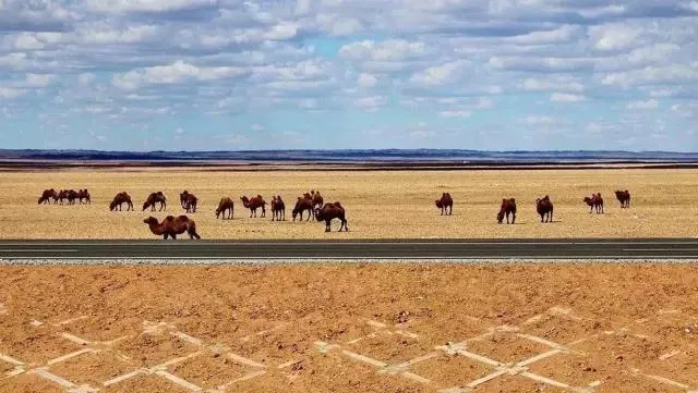 穿越500公里无人区，中国世界最长沙漠高速公路建成通车