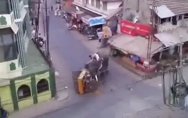 实拍印度大象街头暴走 狂踩路边摊冲撞行人