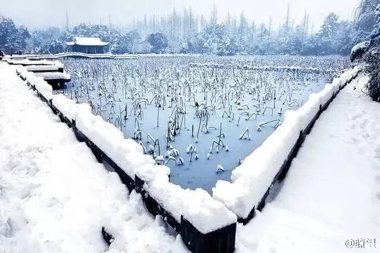 江南初雪 西湖“断桥残雪”美呆了：诗情画意