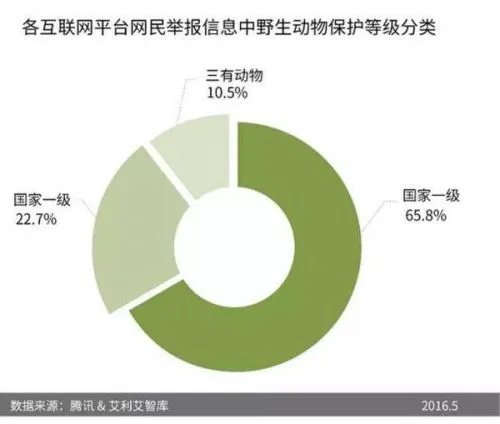 野生动物网络交易增至四成 爱地球请从拒绝杀戮开始