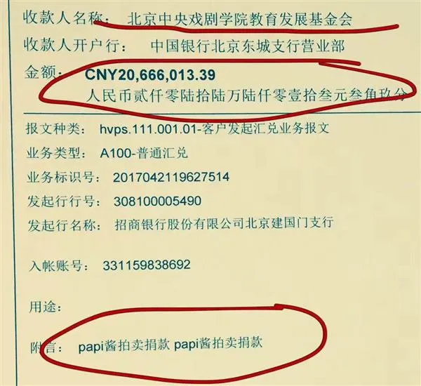 2066万捐给中戏 papi酱这一年都经历了什么？