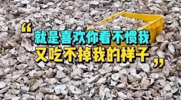 丹麦生蚝泛滥成灾 马云刘强东带吃货铁骑出征