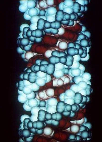 科学研究表明RNA分子是地球生命的起源物质