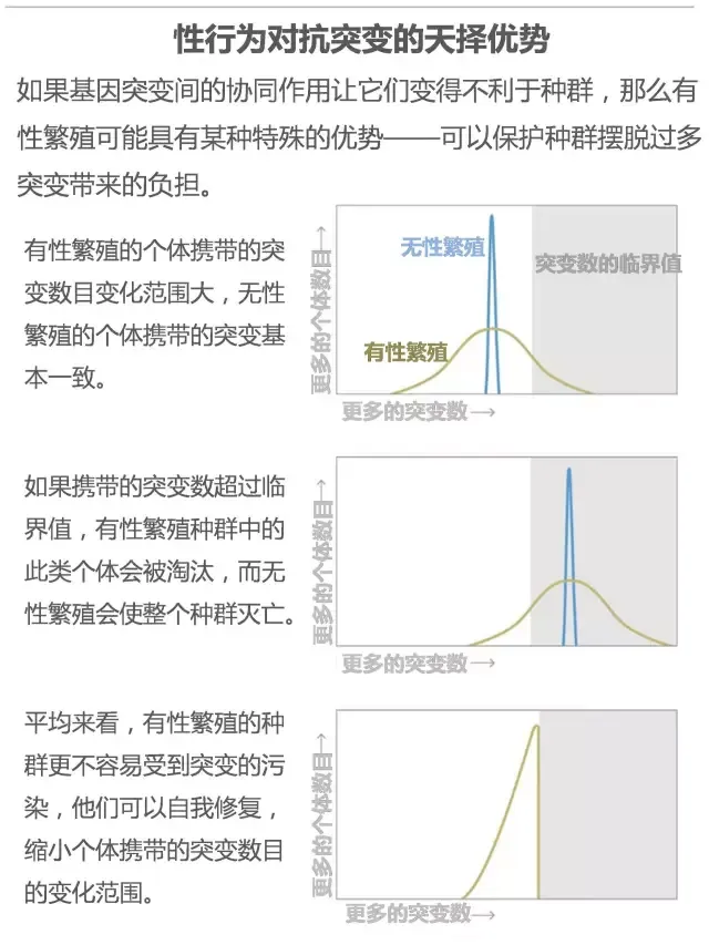 性对生物有什么用？