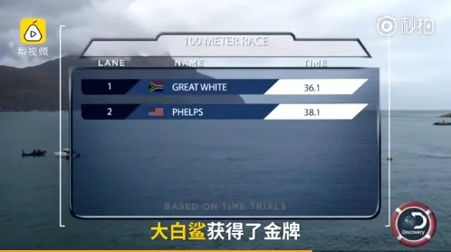 震撼！“飞鱼”菲尔普斯100米对决大白鲨：只输了2秒