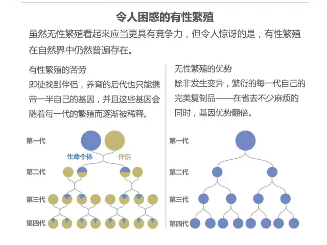 性对生物有什么用？