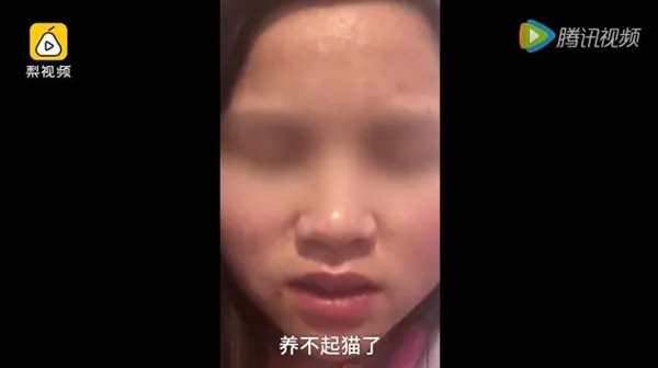 虐猫剥皮女子录视频道歉：原谅我这个罪人