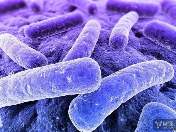 新技术能让病菌自毁：效果完胜抗生素