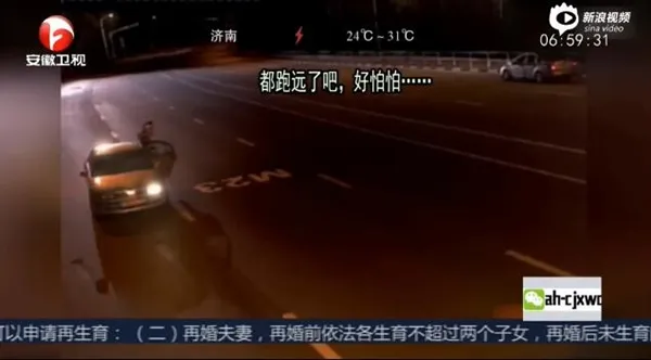 俄野狼群跑上高速：交警躲过路车避开一劫