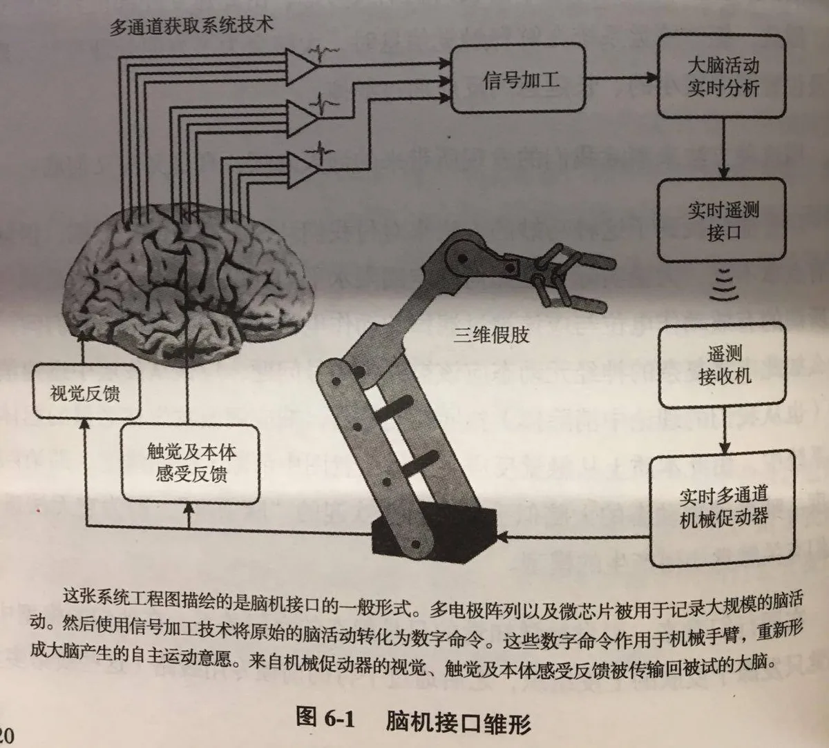 人类能否通过保存意识得到永生？脑机接口是个法子