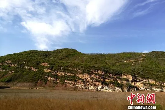 陕西铜川发现罕见2.5亿年前远古生物陆地活动遗迹