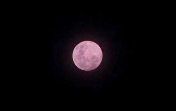 粉红色满月今晚出现：日本网友炸锅