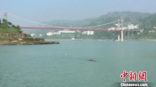 知名猛犬发疯逼咬黄牛跳江 遭击毙