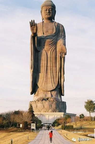 巨物恐惧症！这组图片看了让人头皮发麻...