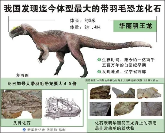 多亏世上的皮肤化石，霸王龙是否“毛茸茸”有了定论