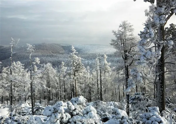 极寒、极景：零下40度的大兴安岭林海雪原