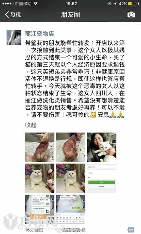 网曝丽江女子剥猫皮 虐猫女子被网友人肉