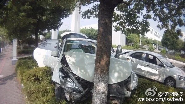 女司机蹭洒水车洗车 结果撞树了