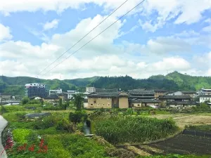 福建现电信诈骗村：村民山上搭帐篷坐骗全国