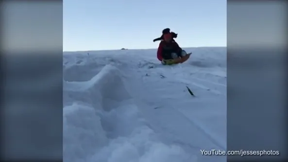 美男子带自家猫滑雪：喵星人露出了这表情