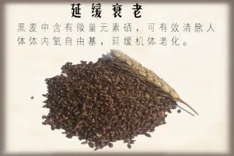 番茄爱上黑小麦 演绎食界红与黑