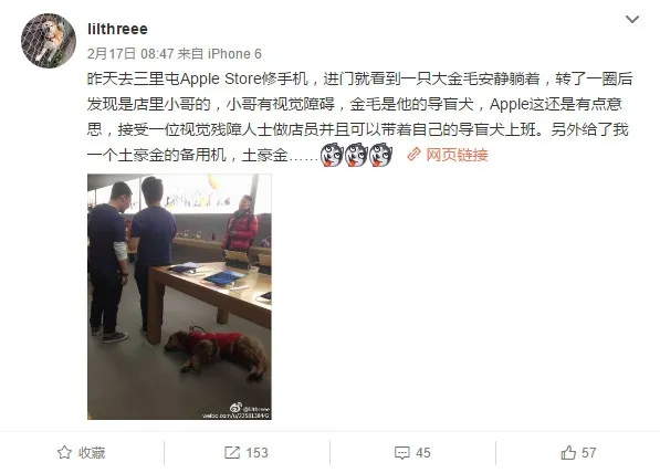 苹果Apple Store惊现金毛犬：真相让网友纷纷点赞