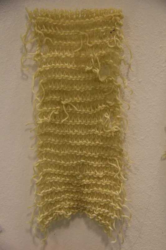 女艺术家用泡面织围巾：看着就想吃一口