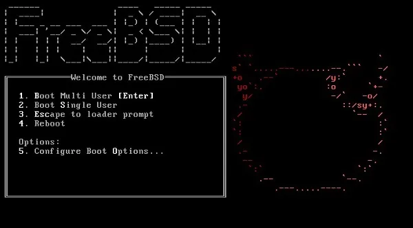 FreeBSD 11.0正式发布：支持RISC-V指令集和NUMA内存调度