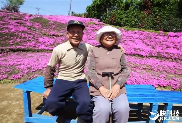 日本84岁老人花2年种花海 粉红色芝樱美翻