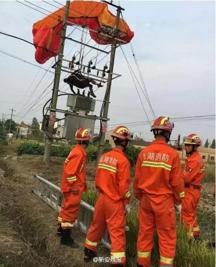 男子玩滑翔伞挂上高压线：结果太悲剧