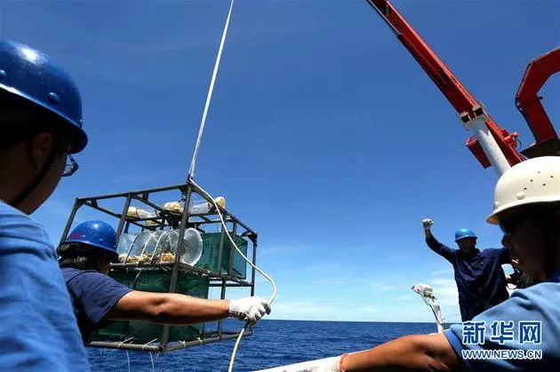 科考队员在雅浦海沟七千米深渊区捕获2条狮子鱼