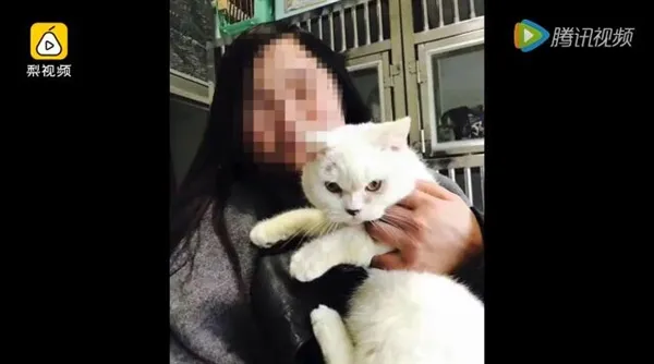 虐猫剥皮女子录视频道歉：原谅我这个罪人