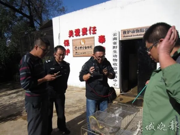 作死：大学生居然在宿舍养毒蛇 舍友“太幸福”