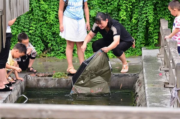 荷花池观赏鱼探头取氧 郑州市民抄雨伞捕捞