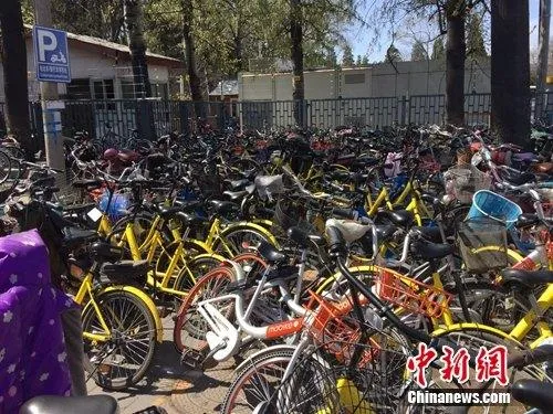 共享单车骑行有法规了 载人、乱停等会失信被惩戒