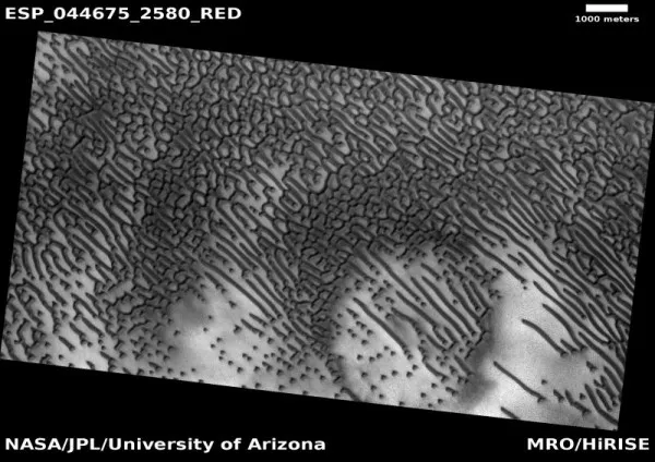 火星上特别的暗色沙丘看起来就像摩斯密码