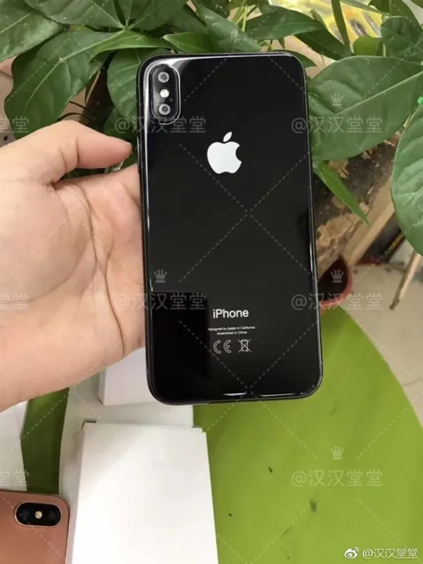 iPhone 8全新配色曝光：这铜色真是丑哭？