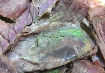 牛肉发出绿色荧光：原来是肌肉中金属元素