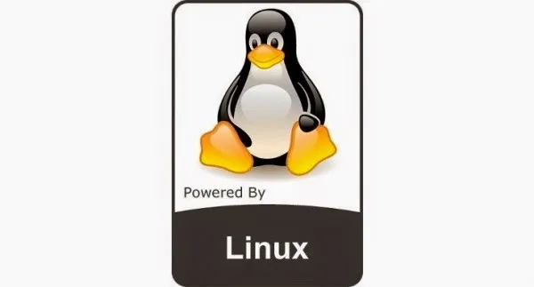 Linux Kernel 4.9分支获得首个维护版本更新