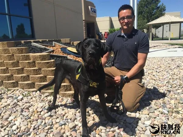 能闻出色情片！这就是神一样的超级警犬