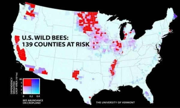 新地图显示美国主要种植区的蜜蜂数量仍在减少