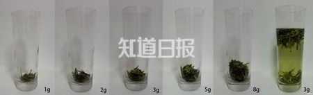 流言揭秘：喝绿茶伤肝？还能好好喝吗？