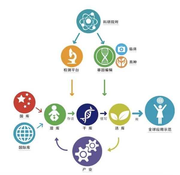 国家基因库正式“开张”华大基因研究院负责运营