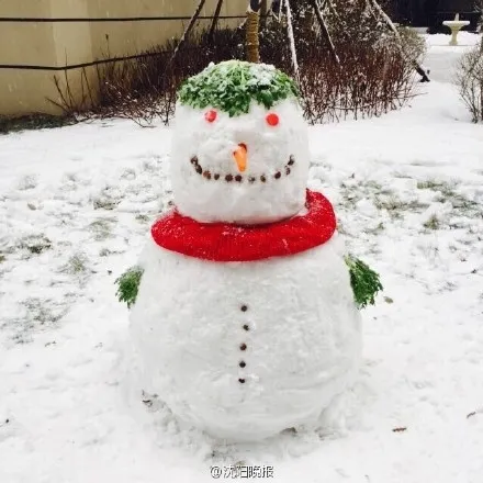 脑洞满分！最强降雪后 沈阳人这样堆雪人