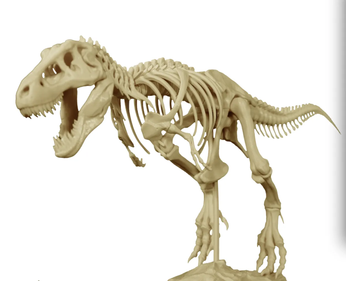 图视频桌面3d打印与考古学的霸王龙骨架