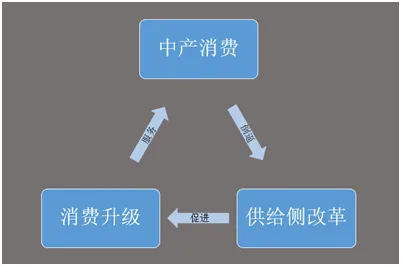 从布亚牦牛肉饼看中国消费升级