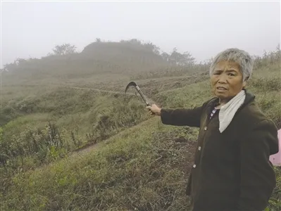 野猪遭村民持枪围堵 受惊发狂咬死农妇